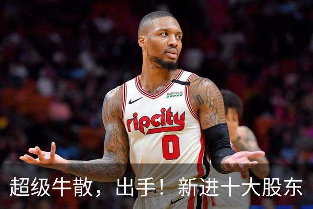 超级牛散，出手！新进十大股东